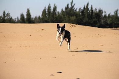 《赛博朋克2077》续作可能会继续邀请好莱坞演员